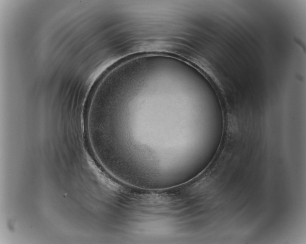 X0000100360980200806061134