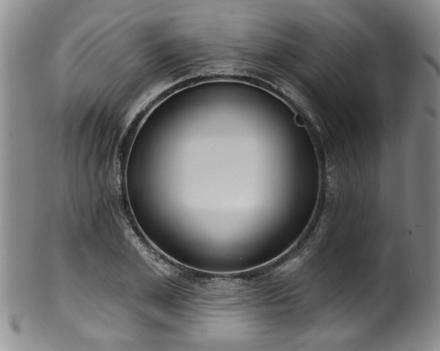 X0000100360981200806061134