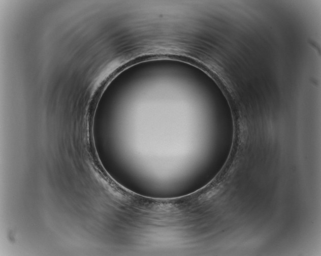 X0000100360982200806061134