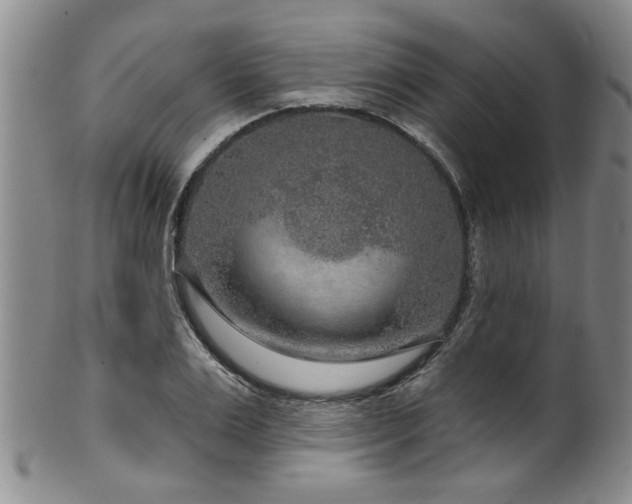 X0000100360983200806061134