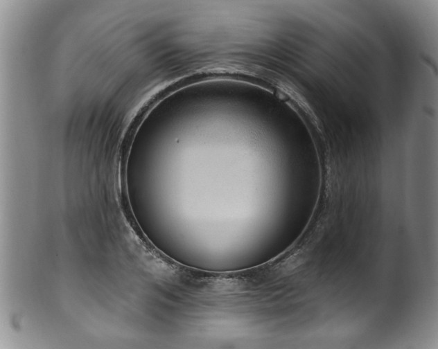 X0000100360984200806061134
