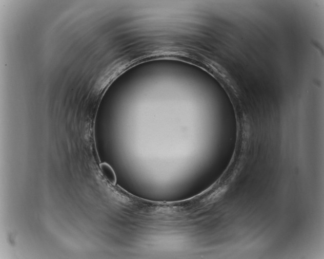 X0000100360985200806061134