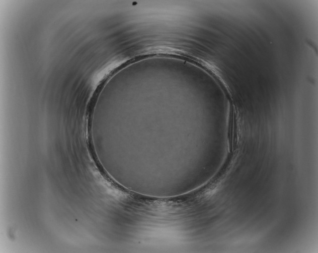 X0000100360987200806061134