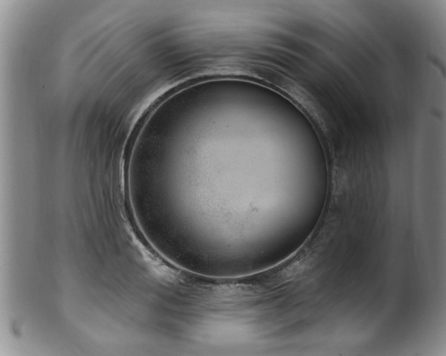X0000100360988200806061134