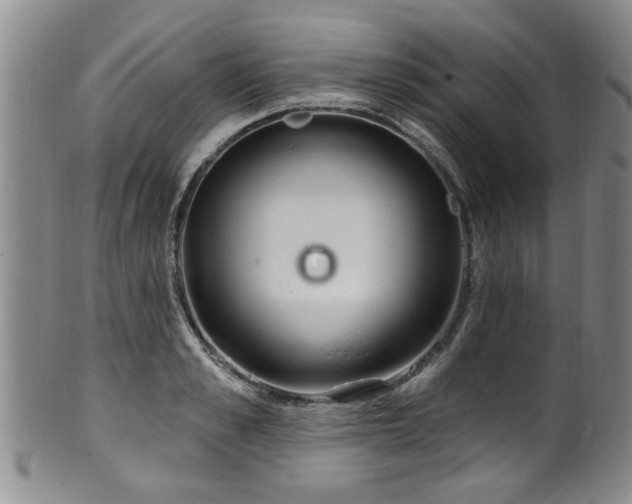 X0000100360989200806061134