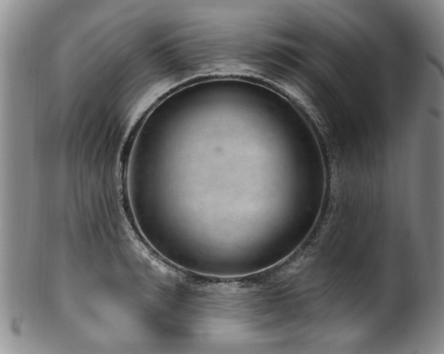 X0000100360990200806061134