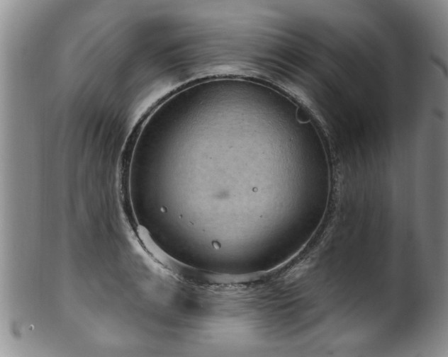 X0000100360991200806061134