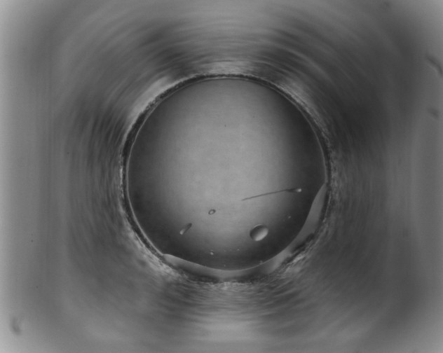 X0000100360992200806061134