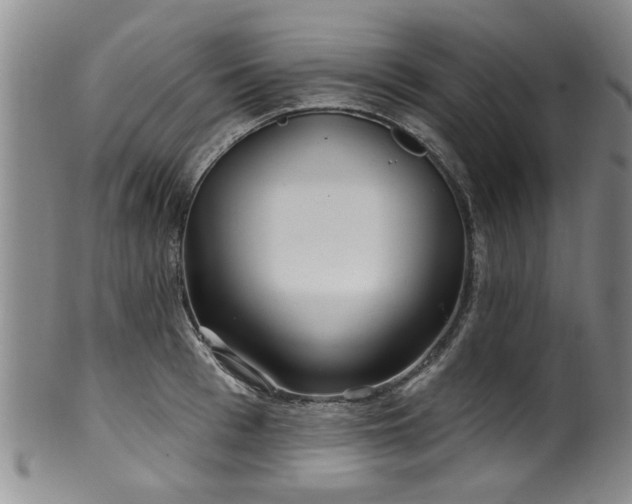 X0000100360993200806061134