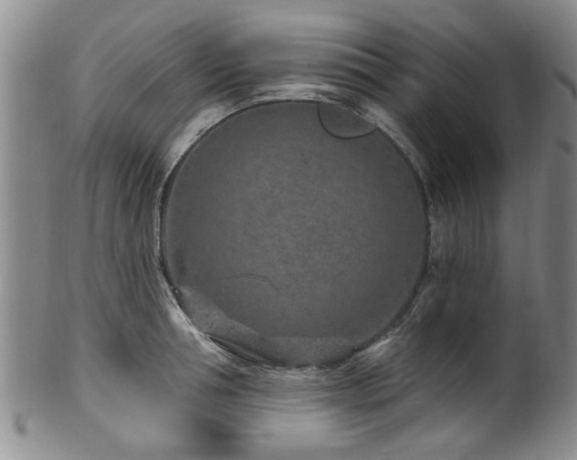 X0000100360994200806061134