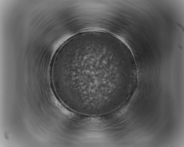X0000100360995200806061134
