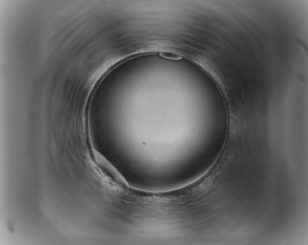 X0000100360996200806061134