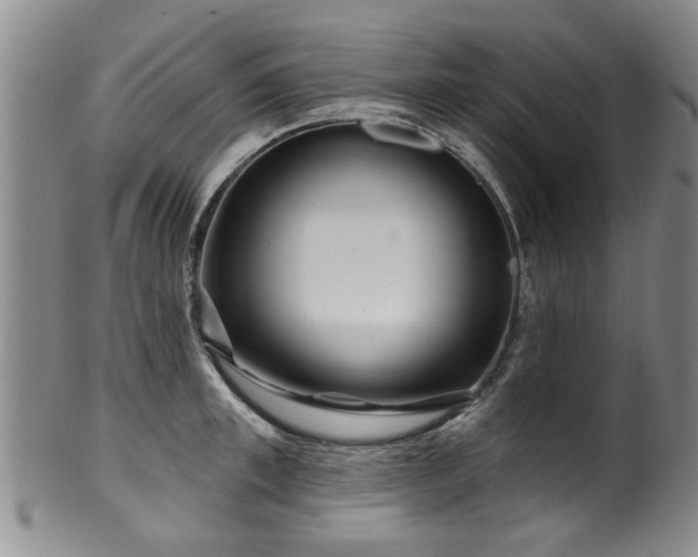 X0000100360997200806061134