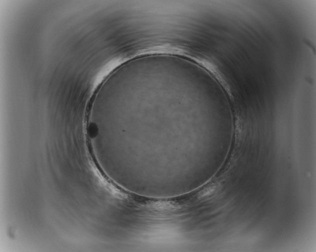 X0000100360998200806061134