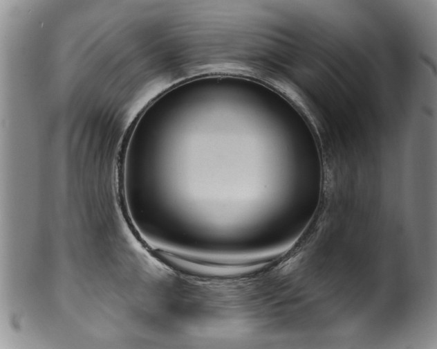 X0000100360999200806061134