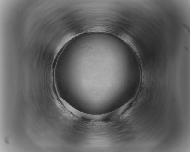 X0000100361000200806061134