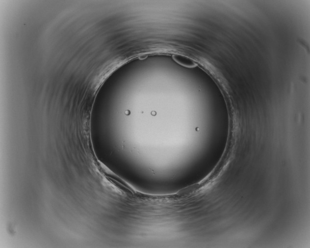 X0000100361001200806061134