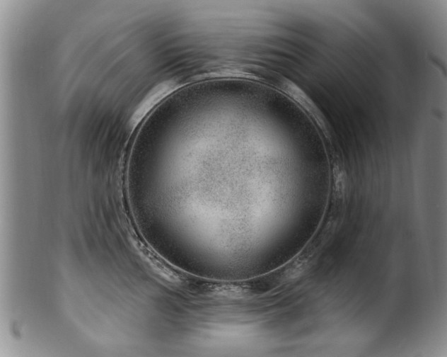 X0000100361002200806061134