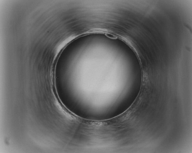 X0000100361003200806061134