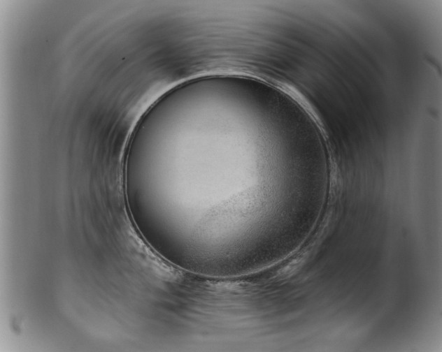 X0000100361004200806061133