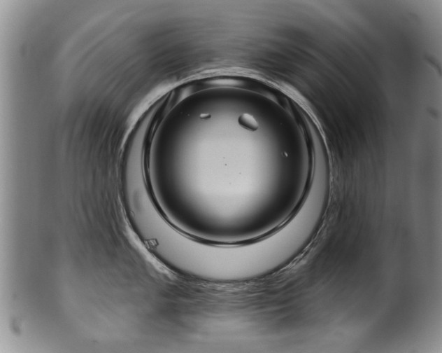 X0000100361005200806061133