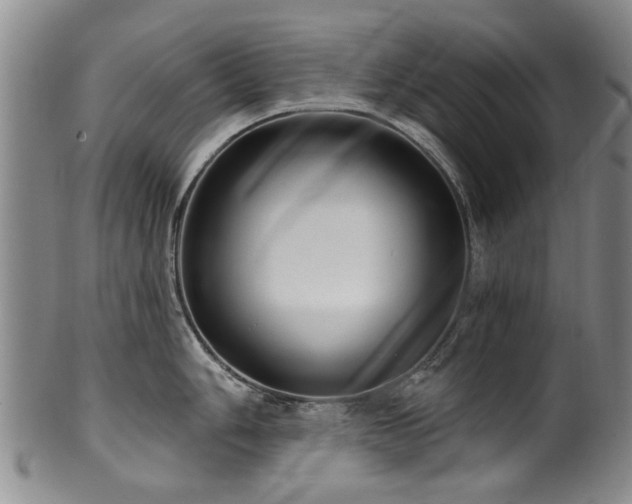 X0000100361006200806061133