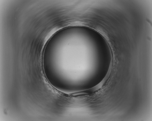 X0000100361008200806061133