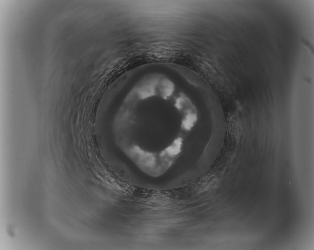 X0000100361009200806061133