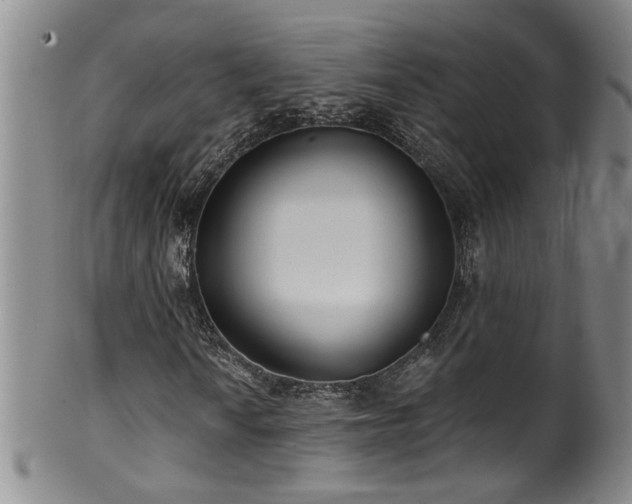 X0000100361010200806061133