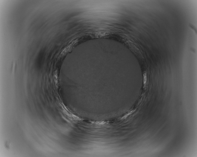 X0000100361011200806061133
