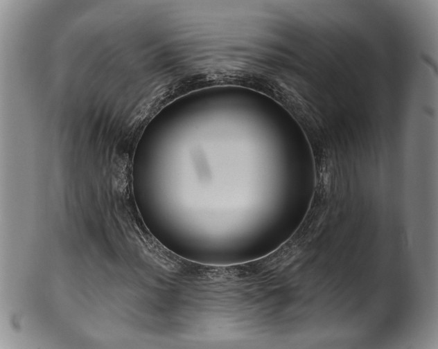 X0000100361012200806061133