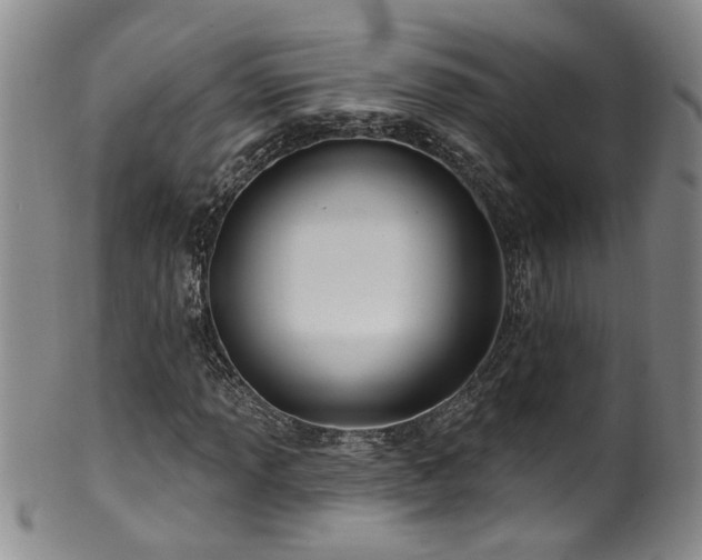 X0000100361013200806061133