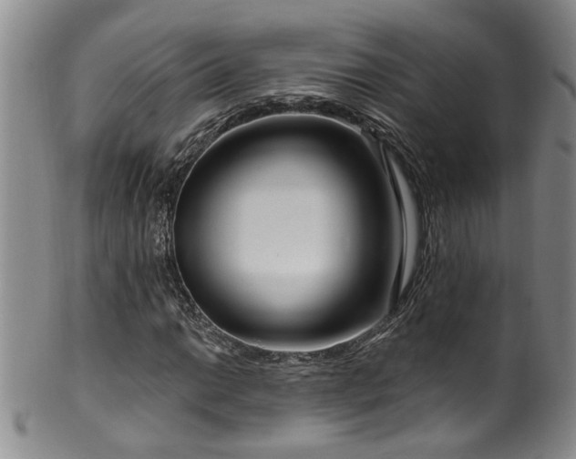X0000100361014200806061133