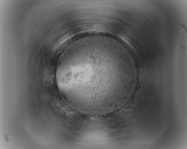 X0000100361015200806061133