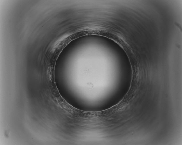 X0000100361016200806061133