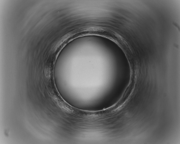 X0000100361017200806061133