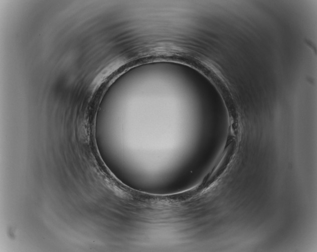 X0000100361018200806061133