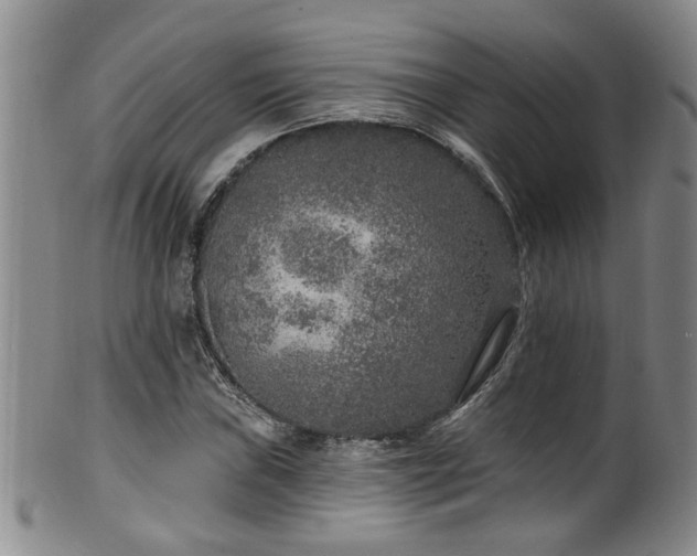 X0000100361019200806061133