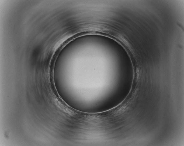 X0000100361020200806061133