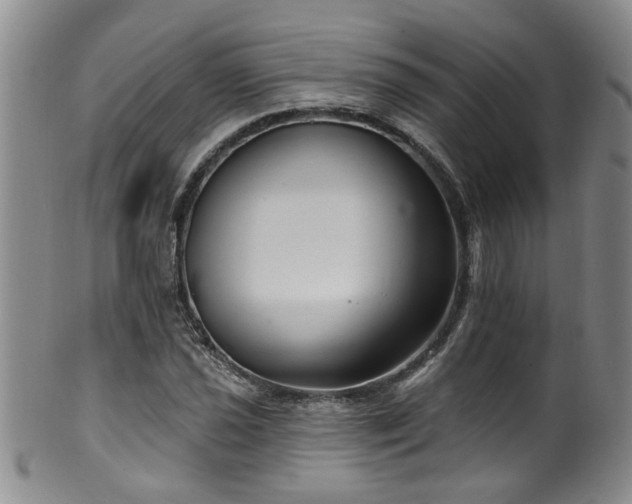 X0000100361021200806061133