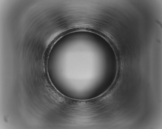 X0000100361022200806061133