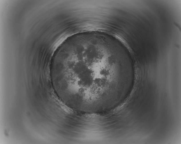 X0000100361023200806061133