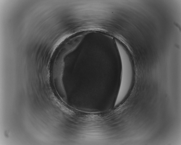 X0000100361024200806061133