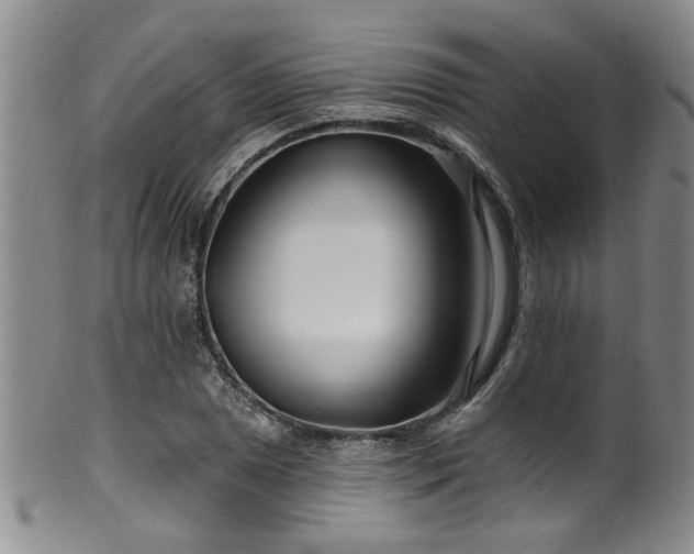 X0000100361025200806061133