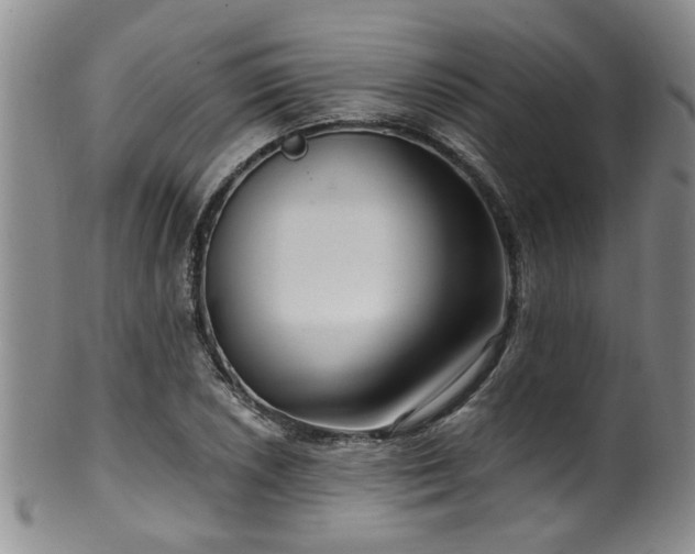 X0000100361026200806061133