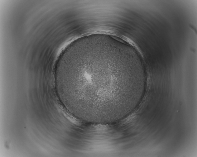 X0000100361027200806061133