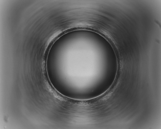 X0000100361029200806061133