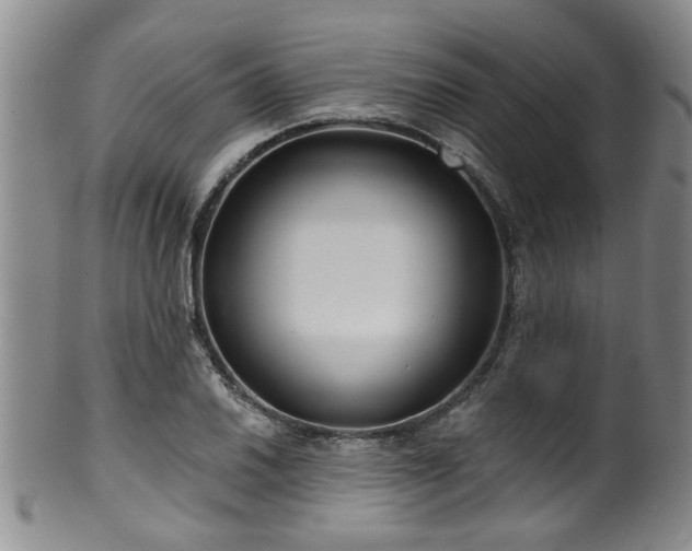 X0000100361030200806061133