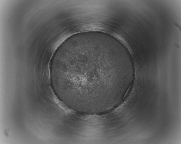 X0000100361031200806061133