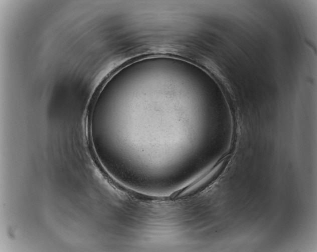 X0000100361032200806061133